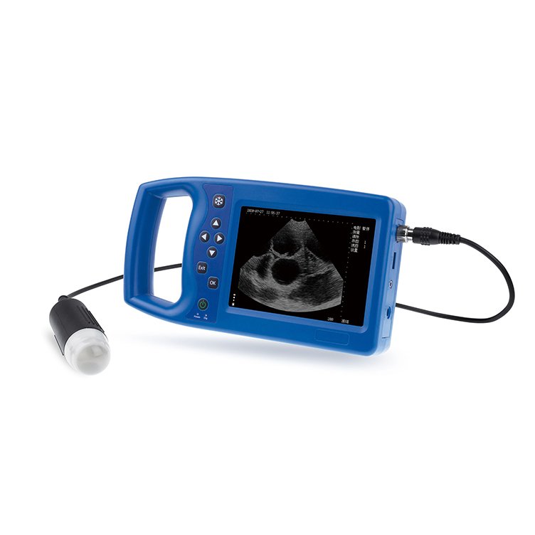 medical ultrasound instruments Small vet/veterinary ultrasound animals pig/sheep use machine M6