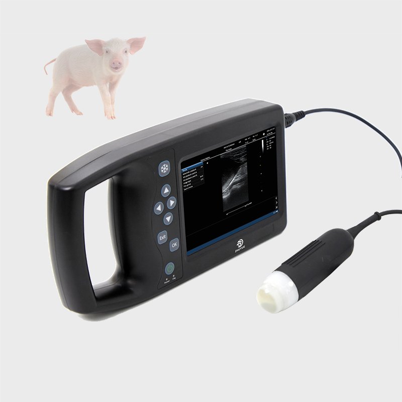 Portable Veterinary Ultrasound Machine Scanner M6 /Veterinary Ultrasound Machine For Cattle Horses Sheep Animals
