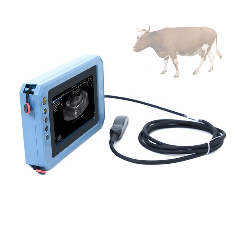 Ready to ship portable medical 3d 4d echocardiography ultrasound machine ecografo color doppler for human