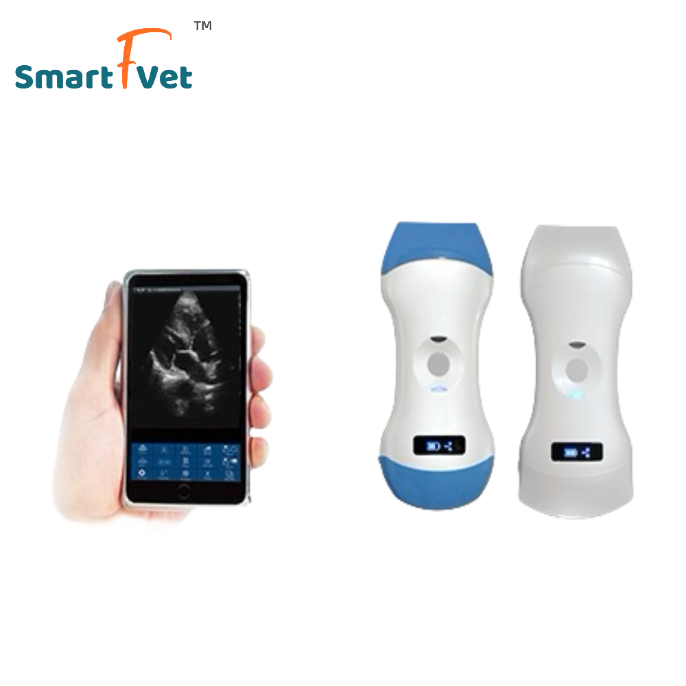 Smart F Vet Veterinary Equipment Portable Wireless Mini Color Doppler Ultrasound Mini Veterinary Ultrasound