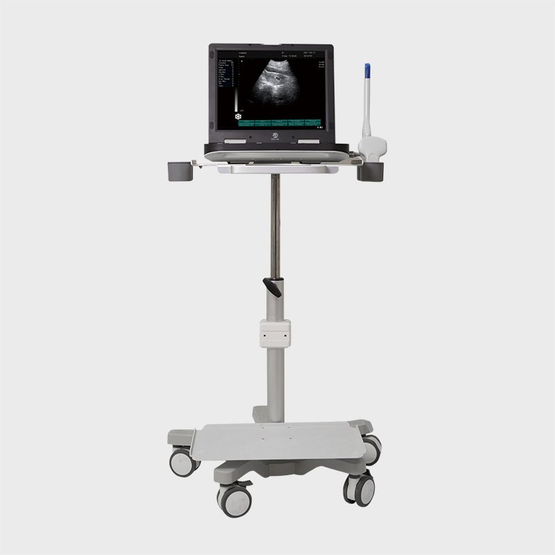 4D trolley doppler ultrasound scanner ultrasound machine price for human and veterinary use