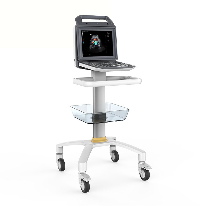 Real Manufacturer Diagnostic Machine Systems Micro Convex Probe Color Doppler 3D 4D Ultrasound Machine
