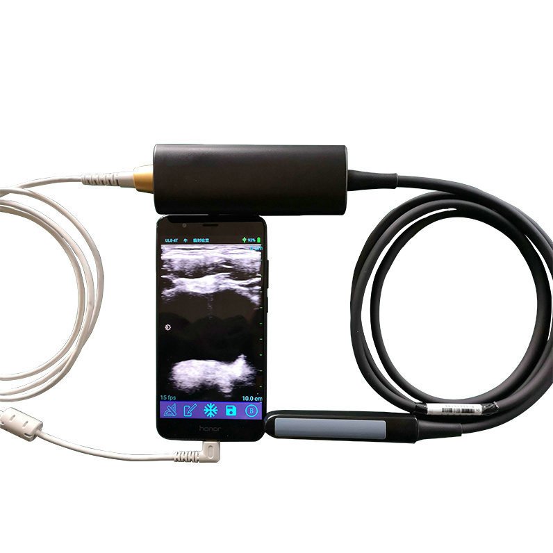Veterinary Vet Rectal Linear USB Probe Ultrasound for Large Animal
