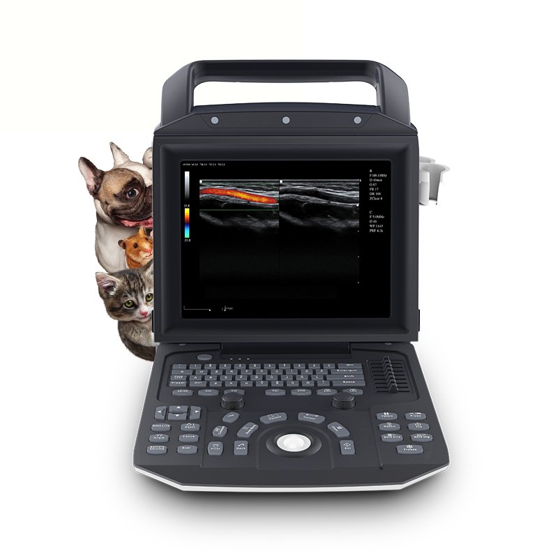 Portable Veterinary Human Cardiac Ob Gyn Echocardiography Multiprobe Medical Instruments Ultrasound Scan Machine