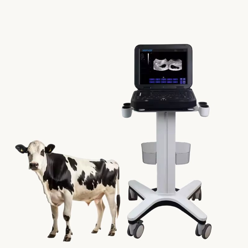 Fitin Medical pasture veterinary ultrasound doppler Large animals black and white scanner ultrasound machine