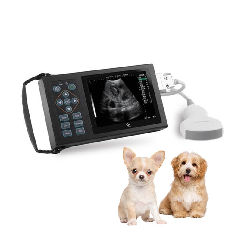 Veterinary Ultrasound Portable Veterinary Portable Ultrasound Scanner Vet Ultrasound Machine