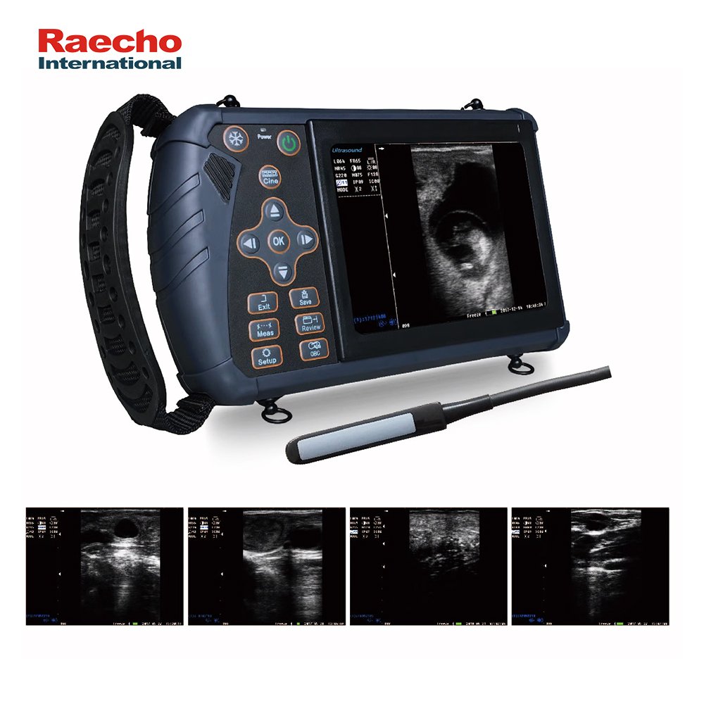 Full-digital Veterinary Ultrasound Machine Medical Ultrasound Scanner for Clinic
