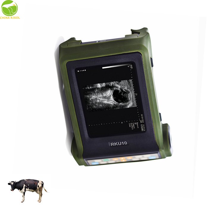 RKU10 Cow Dog Alpaca Feline Canine Rabbi Fish Snake Pregnancy vet portable Ultrasound Scanner Veterinary / Pregnancy Detector