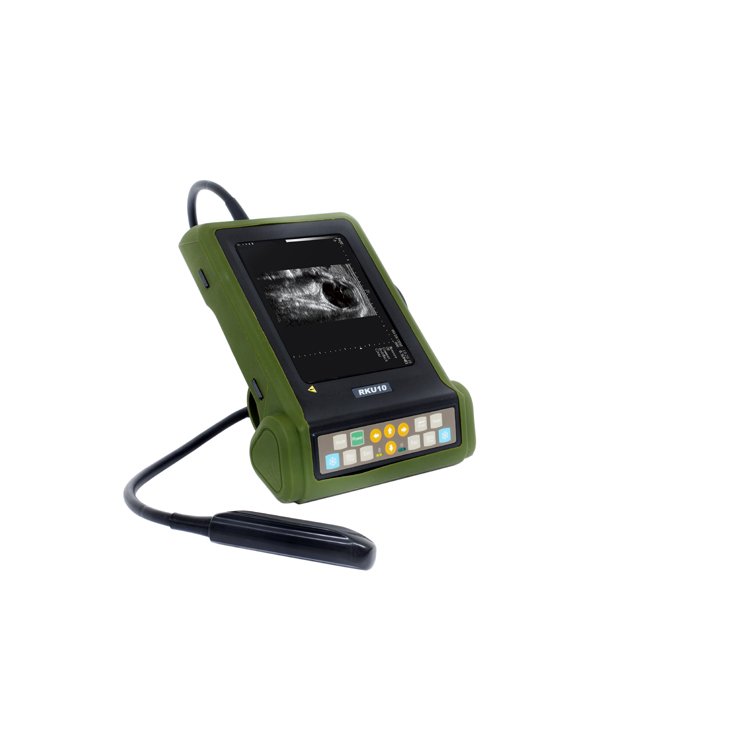 2024 With low price Portable Veterinary Ultrasound Diagnostic Instrument With Rectal Probe For Animal/Cattle Use