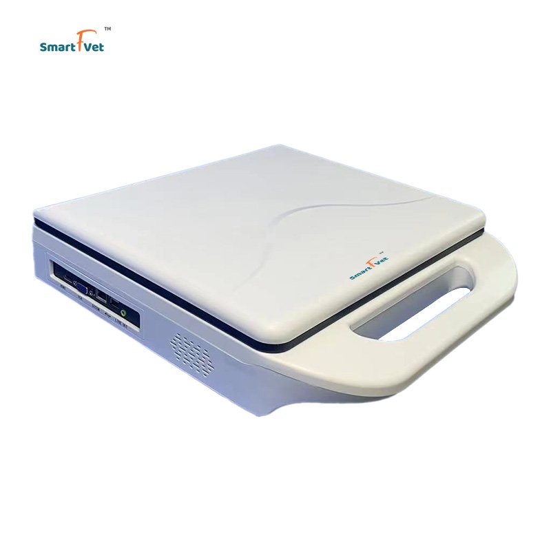 Veterinary Instrument Notebook Portable Full Digital Sheep/Swine/Cattle Pregnancy Ultrasound Machine B/W Laptop Scanner