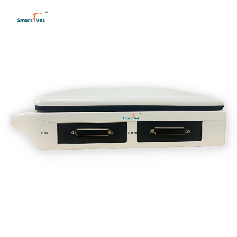Veterinary Instrument Notebook Portable Full Digital Sheep/Swine/Cattle Pregnancy Ultrasound Machine B/W Laptop Scanner