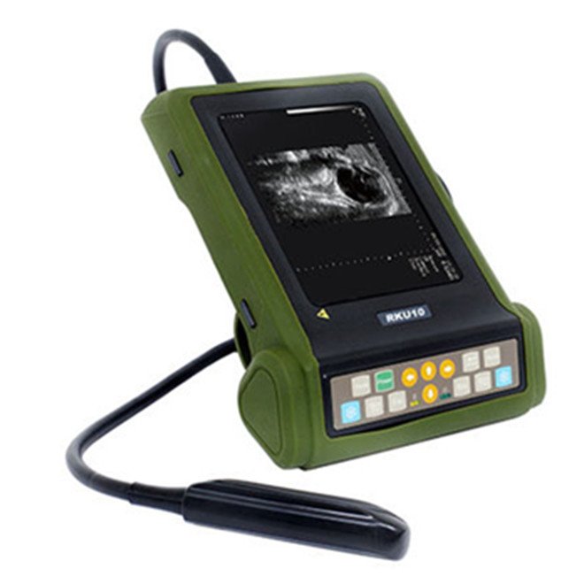 Large Animals Veterinary Equipment Bovine Ultrasound Kaixin Rku10 Cattle Ultrasound Veterinary