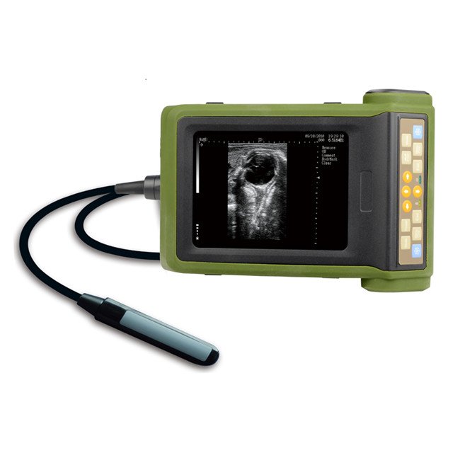 Large Animals Veterinary Equipment Bovine Ultrasound Kaixin Rku10 Cattle Ultrasound Veterinary