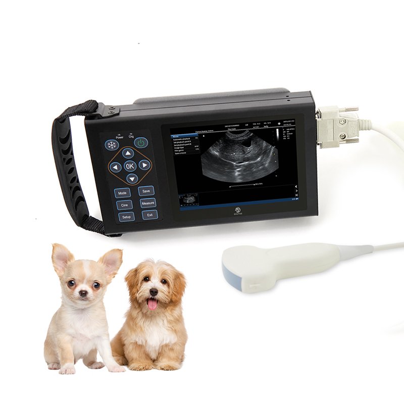 Ultrasound Machine Laptop Ultrasound Portable Ultrasound Machine
