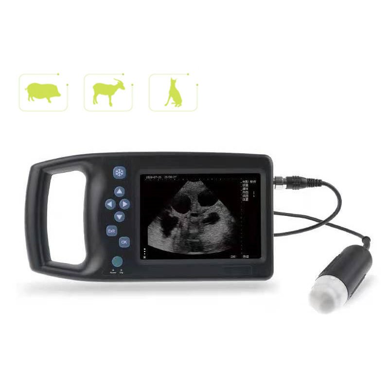 Sale M6 Veterinary Scanning B-Ultrasound Instrument Machine Veterinary Ultrasound Factory Production New Good Quality