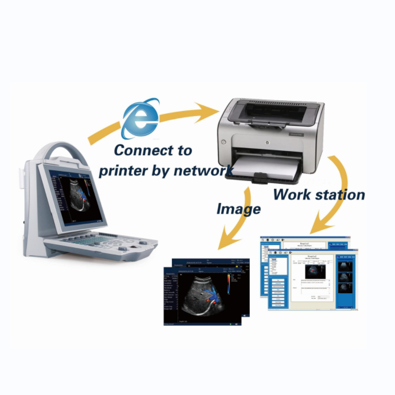 Pet Color Doppler PortableVeterinary Ultrasound scanner