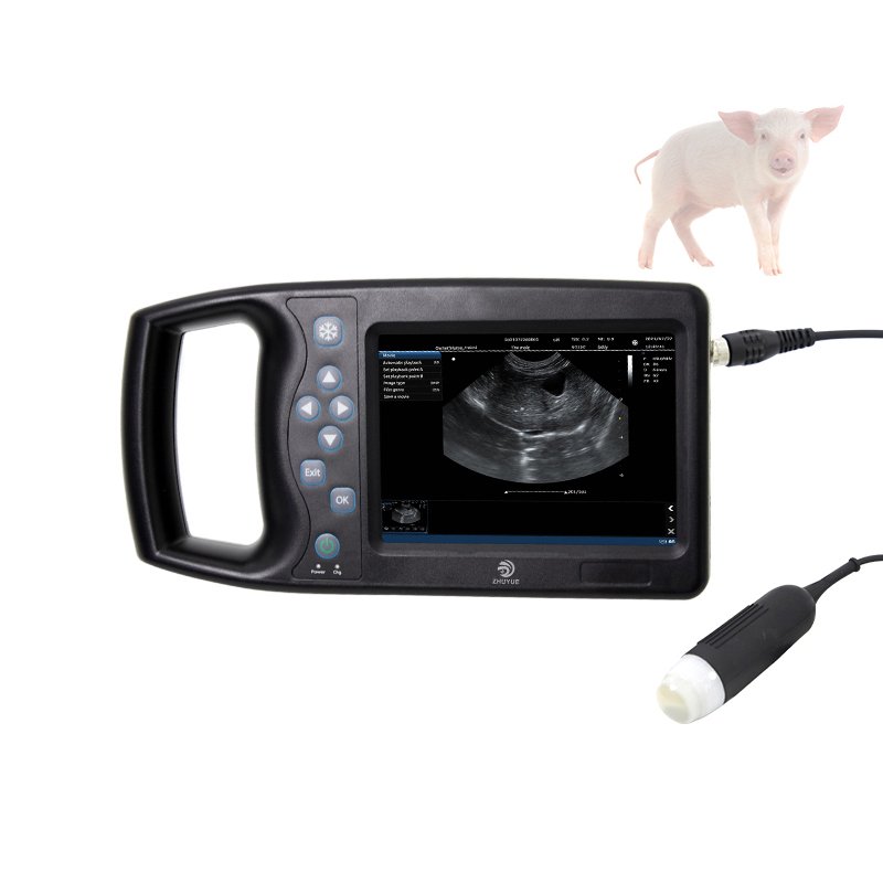 Physiotherapy Ultrasound Therapy Machine with 2 Channel Tens