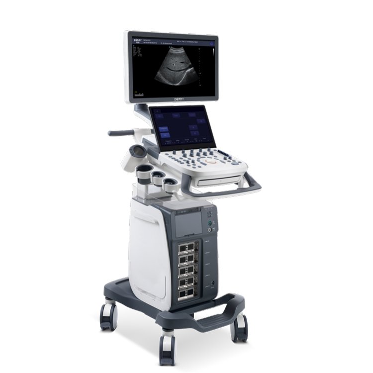 Derry PetCare VS7 Small Animal Veterinary Medical Machine Portable Multiple Probe VET Veterinary Color Doppler Ultrasound System