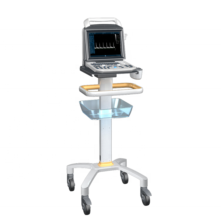 3D ultrasound machine 12 inches screen PW function portable ultrasound scanner
