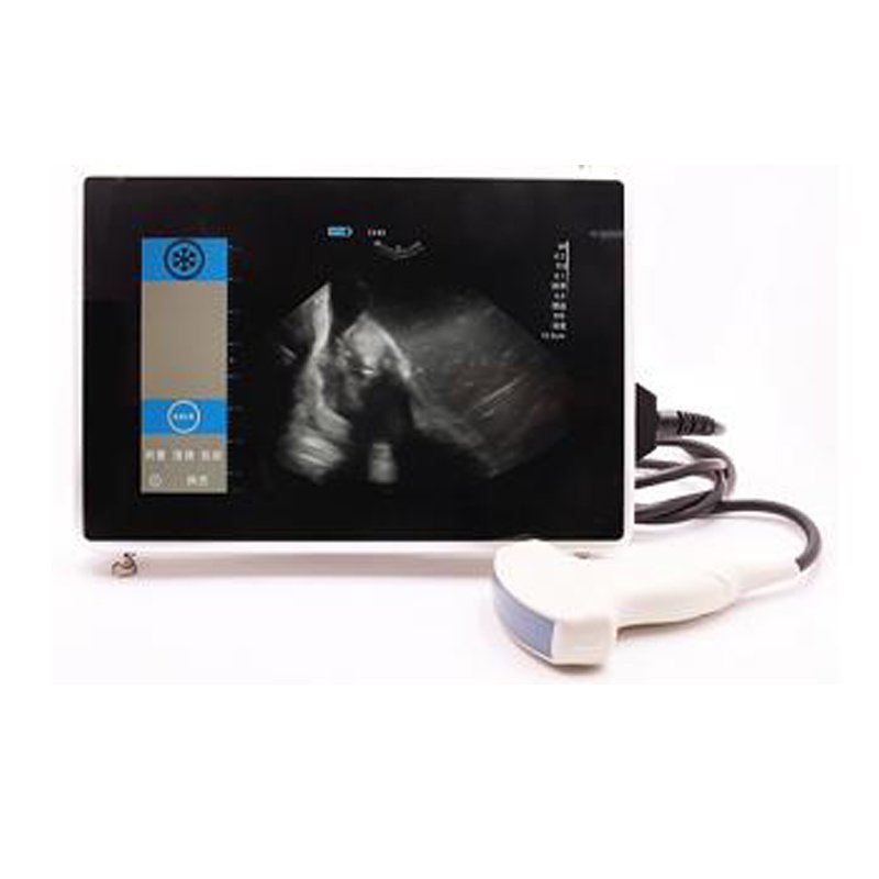 IPX6 Waterproof Veterinary Color Doppler Ultrasound upload wirelessly