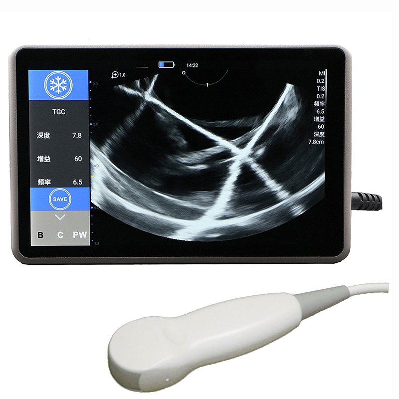 IPX6 Waterproof Veterinary Color Doppler Ultrasound upload wirelessly