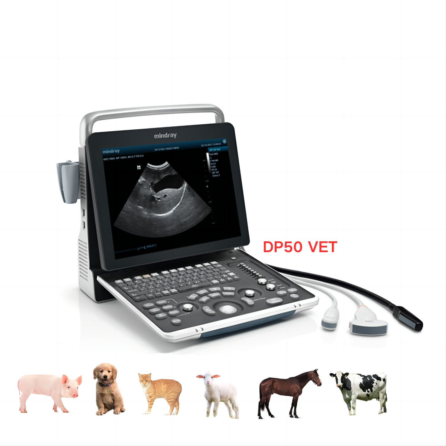 Mindray Veterinary Instrument Portable Z50/60/70 vet Color Doppler Ultrasound Diagnostic System with15 high resolution monitor