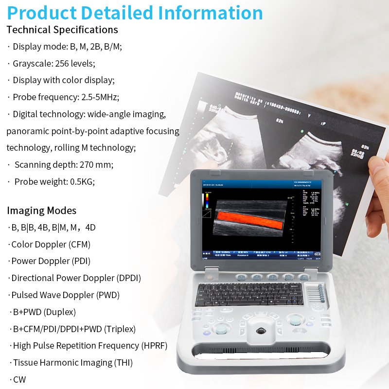 3d 4d Cheapest Medical Veterinary Portable Ultrasound Machine For Cows Color Price Chosen Cat Dog Therapeutic With Colour Scan