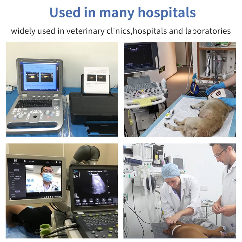 3d 4d Cheapest Medical Veterinary Portable Ultrasound Machine For Cows Color Price Chosen Cat Dog Therapeutic With Colour Scan