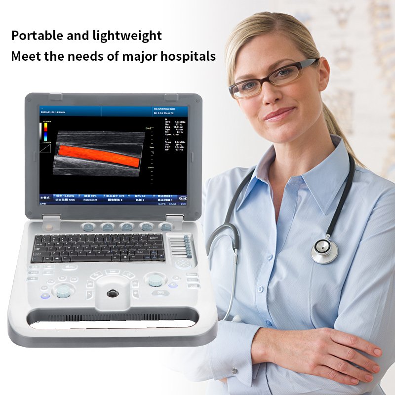 3d 4d Cheapest Medical Veterinary Portable Ultrasound Machine For Cows Color Price Chosen Cat Dog Therapeutic With Colour Scan