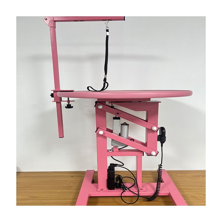 Chenhong Small Electric Lift Pet Beauty Table Pet Dog Operating Table