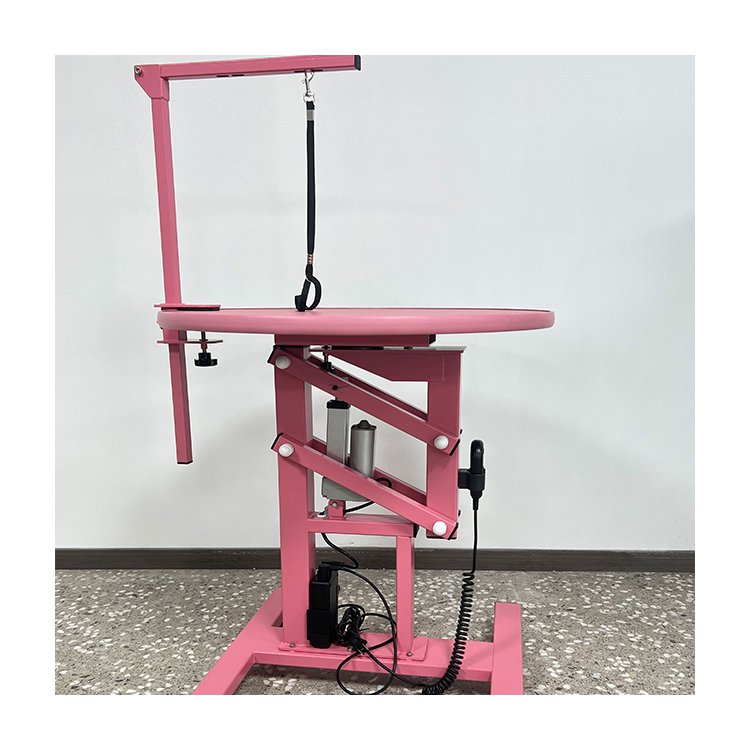 Chenhong Small Electric Lift Pet Beauty Table Pet Dog Operating Table