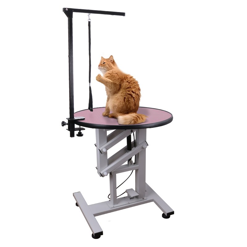 Chenhong Small Electric Lift Pet Beauty Table Pet Dog Operating Table