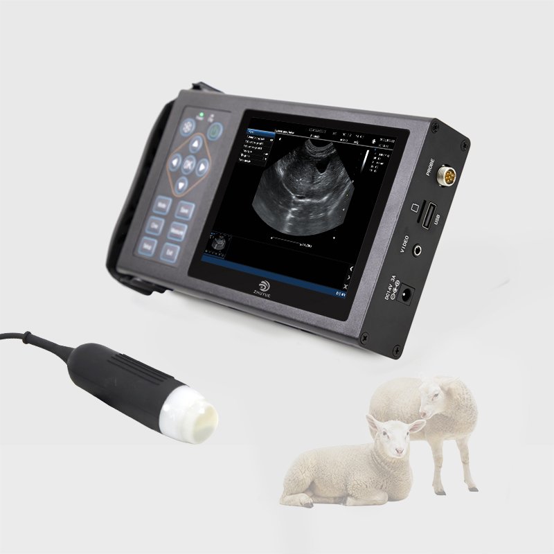 Medical Ultrasound Instruments Portable 12 Inch LED Color Doppler Ultrasound Machine Veterinary Ultrasound Machine Mindray Recta