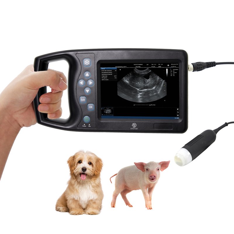 Vet Ultrasound Portable veterinary Ultrasound machine price