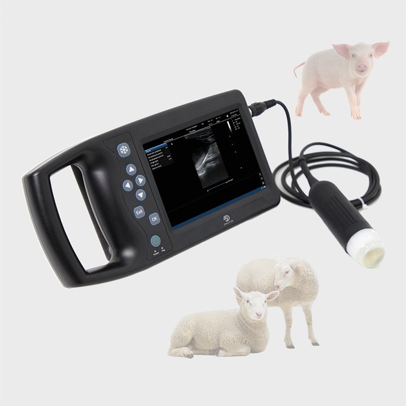 Veterinary Ultrasound Scanner Echography Wireless ultrasound Veterinary/T6 Handheld Pet Vet Ultrasound Machine