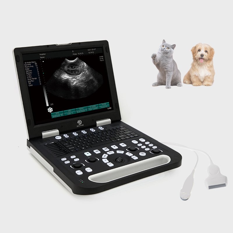 Ultrasound Scanner for Human or Veterinary Laptop Ultrasound Machine sonosite portable ultrasound machine