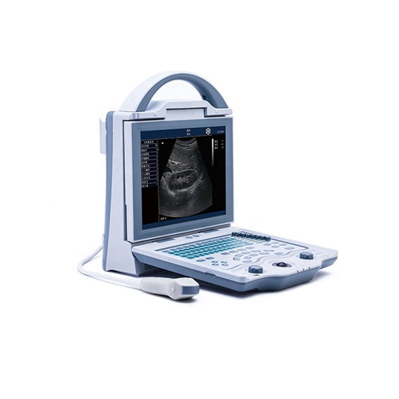 medical ultrasound instruments Small vet/veterinary ultrasound animals dog/horse usg machine price KX5600