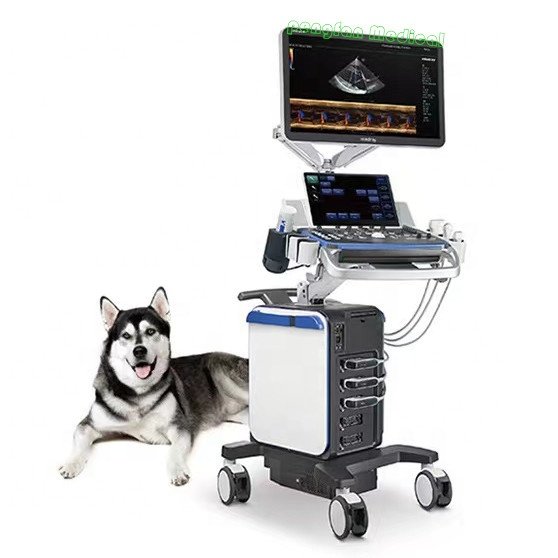 Mindray Veterinary Diagnostic Ultrasound System Vetus8