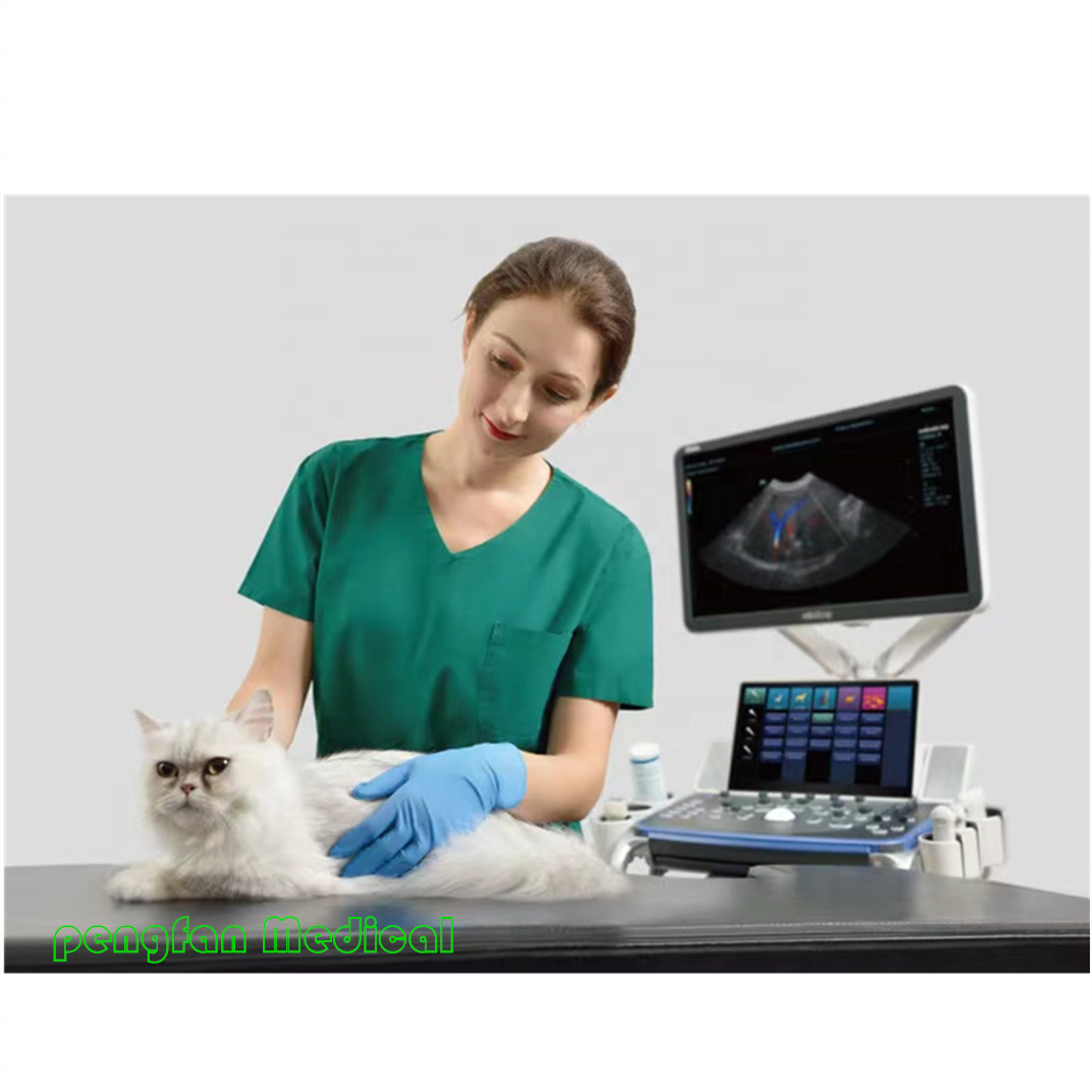 Mindray Veterinary Diagnostic Ultrasound System Vetus8