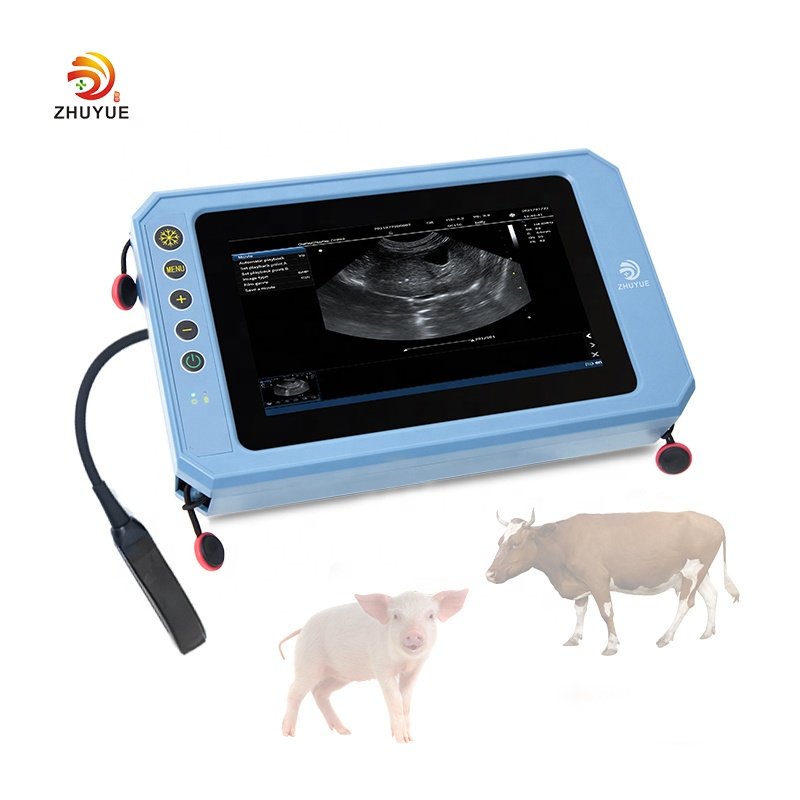Wholesale 7.0 inch high resolution display handheld veterinary ultrasound scanner portable veterinary ultrasound