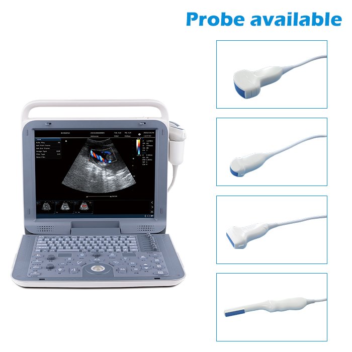 Hospital Portable Color Doppler Ecograph Best Price 3d 4d Veterinary Portable Color Doppler Ultrasound