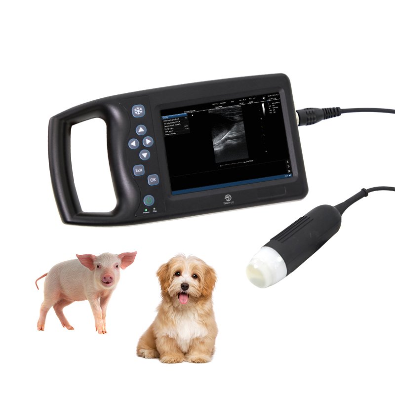 2023 Innovative Products Top Machine Veterinary Examination Stainless Steel Pet Ultrasound