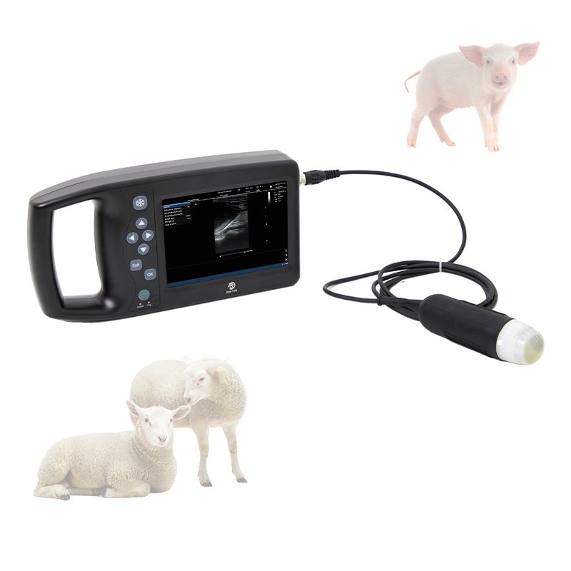 2023 Innovative Products Top Machine Veterinary Examination Stainless Steel Pet Ultrasound