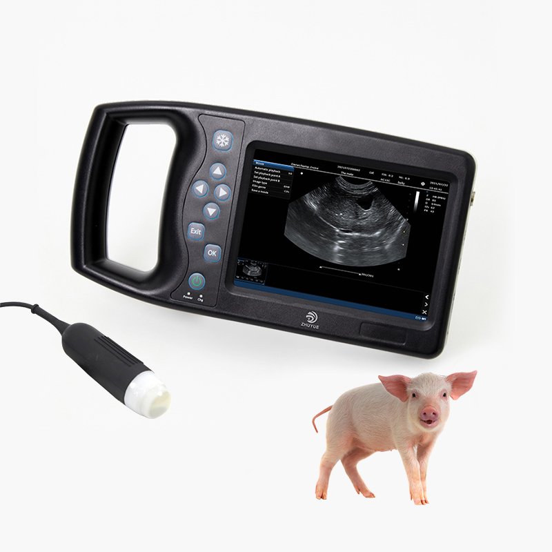 2023 Innovative Products Top Machine Veterinary Examination Stainless Steel Pet Ultrasound