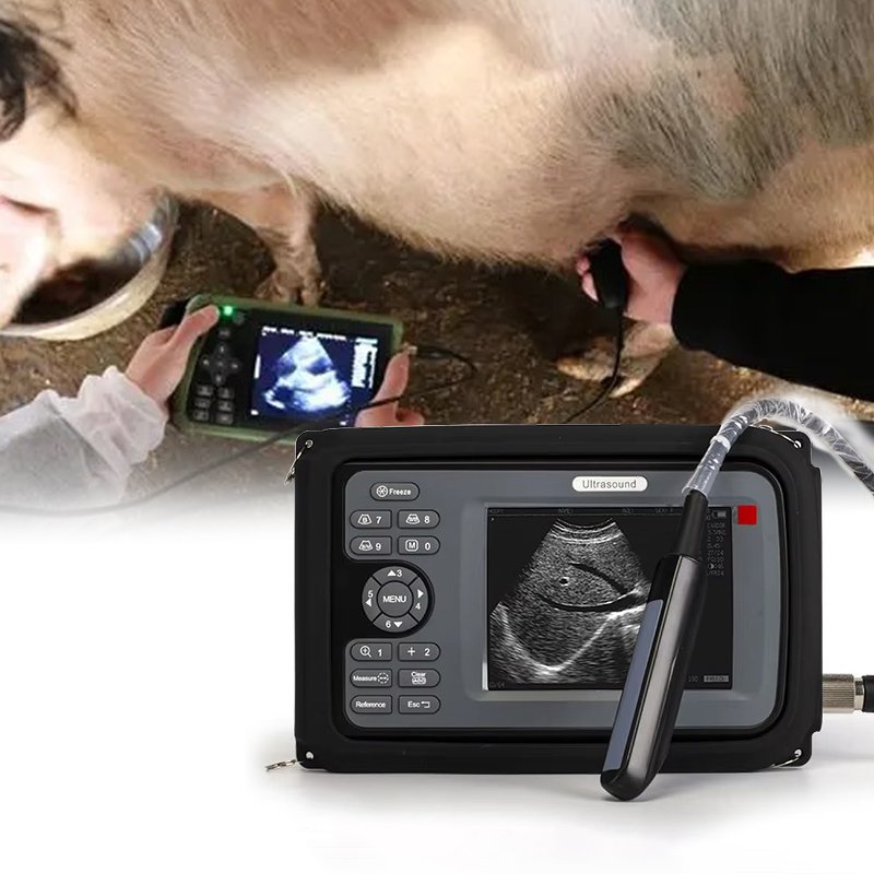 Handscan Ultrasound cheapest black and white Echocardiography Multiprobe medical instruments sonography human ultrasound machine