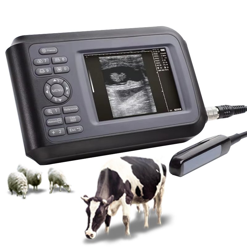 Handscan Ultrasound cheapest black and white Echocardiography Multiprobe medical instruments sonography human ultrasound machine
