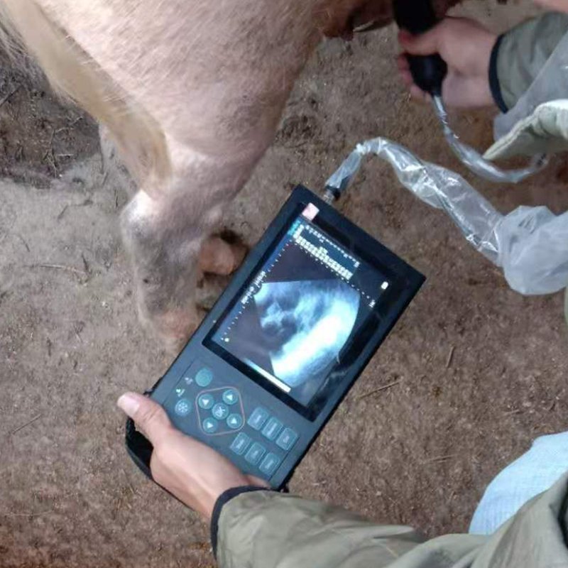 MT Medical Pet Equipment Animal Portable Handheld Full Digital Veterinary Ultrasound Scanner Machine