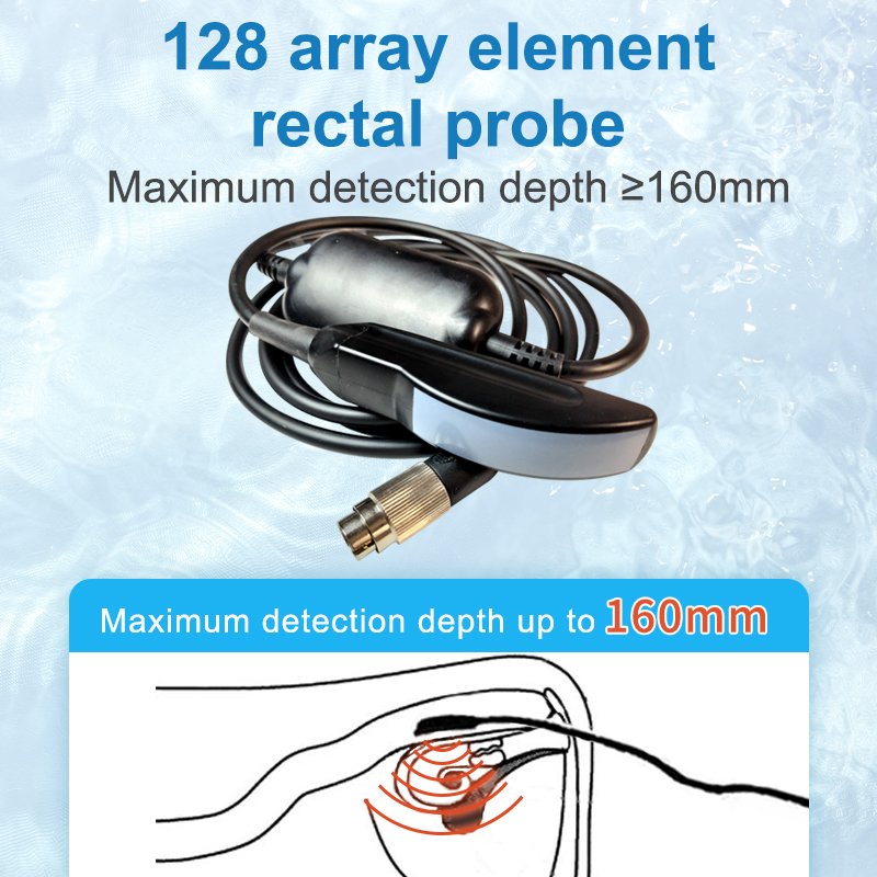 portable handle digital B ultrasound machine for animals cattle dog 8 inch LED screen medical equipment veterinary equipment