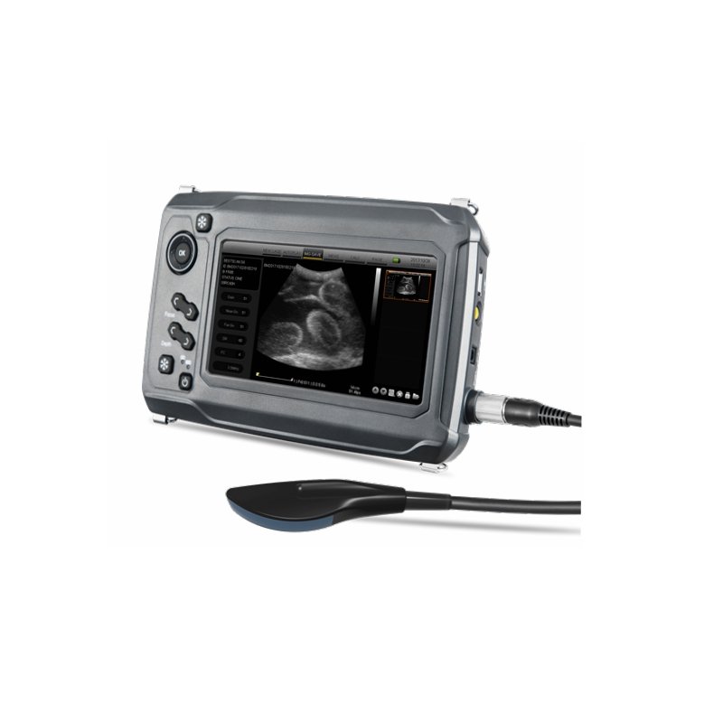 Handheld Full Digital Farm Veterinary Clinic Ultrasound Scanner Pregnancy Veterinary Ultrasound Machine