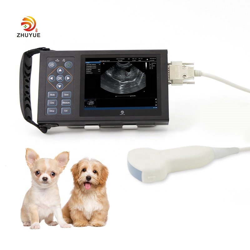 Portable USG Color Doppler Diagnostic Vet Ultrasound Machine 3d 4d For animals Hospital veterinary use Ultrasonic